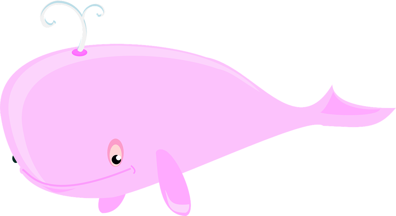 whale pink sea free photo