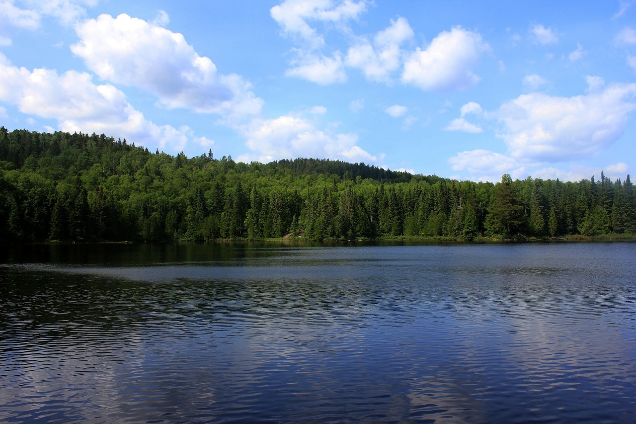 whale lake superior national forest free photo