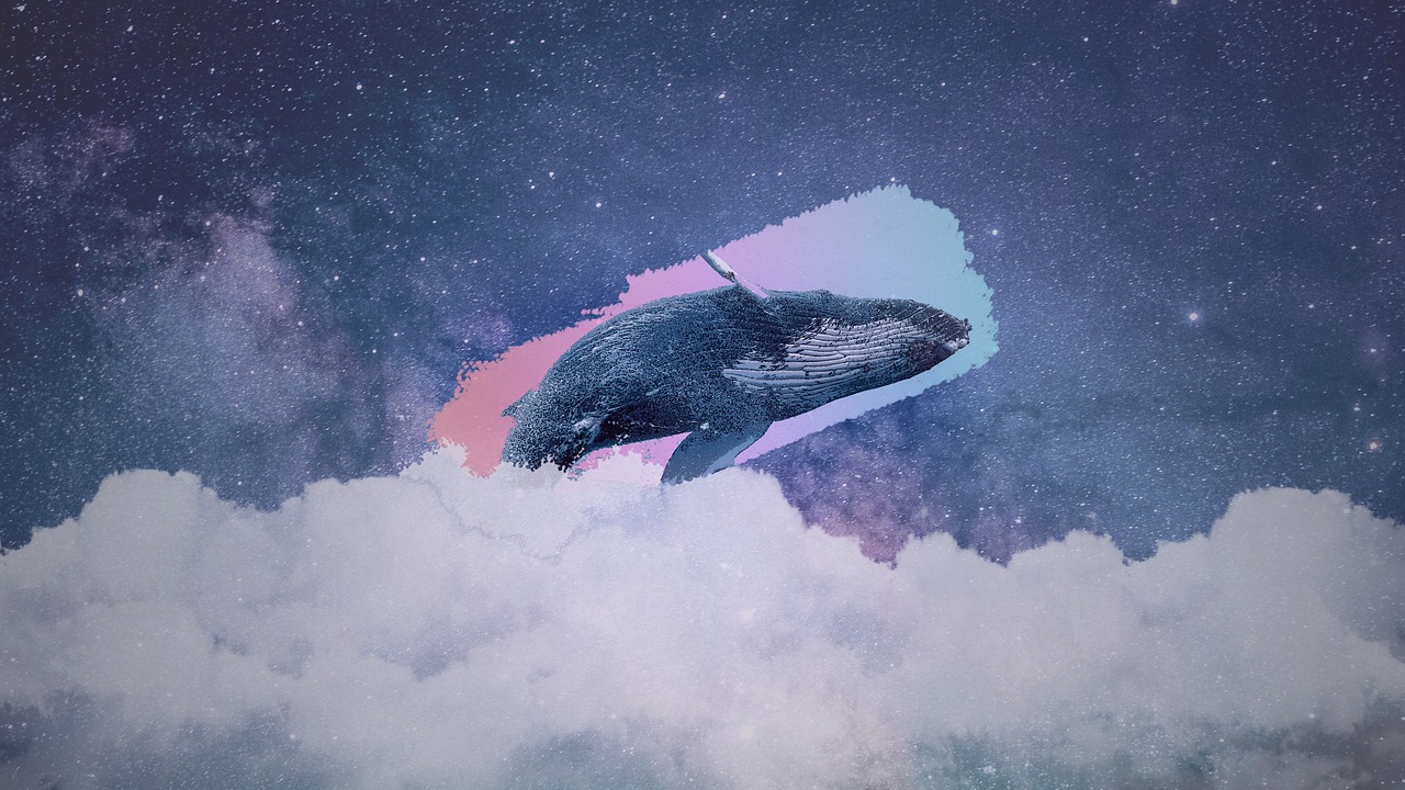 whale  the universe  cloud free photo