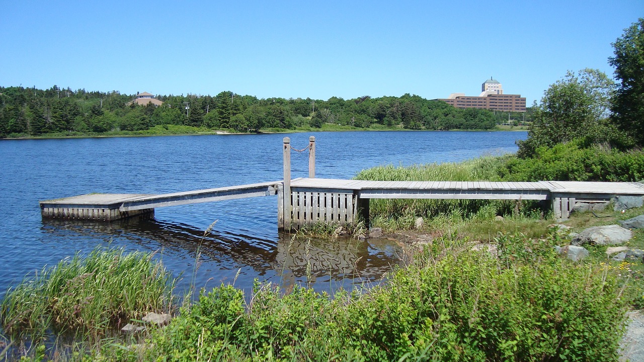 wharf dock jetty free photo