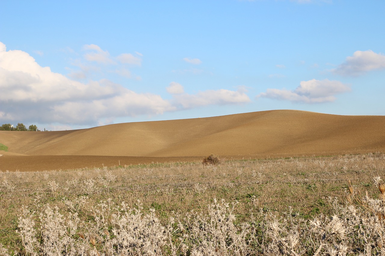 wheat landscape sicily free photo
