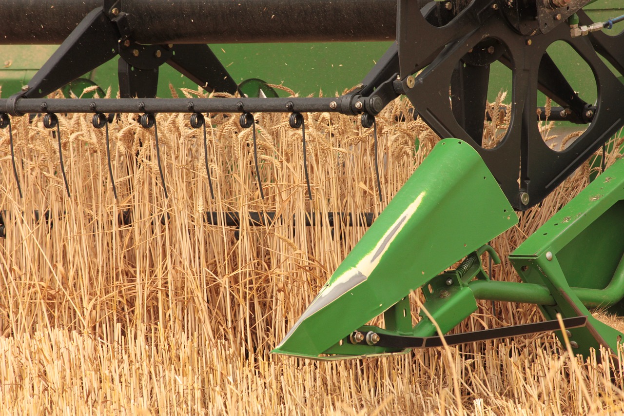 wheat  harvest  agriculture free photo