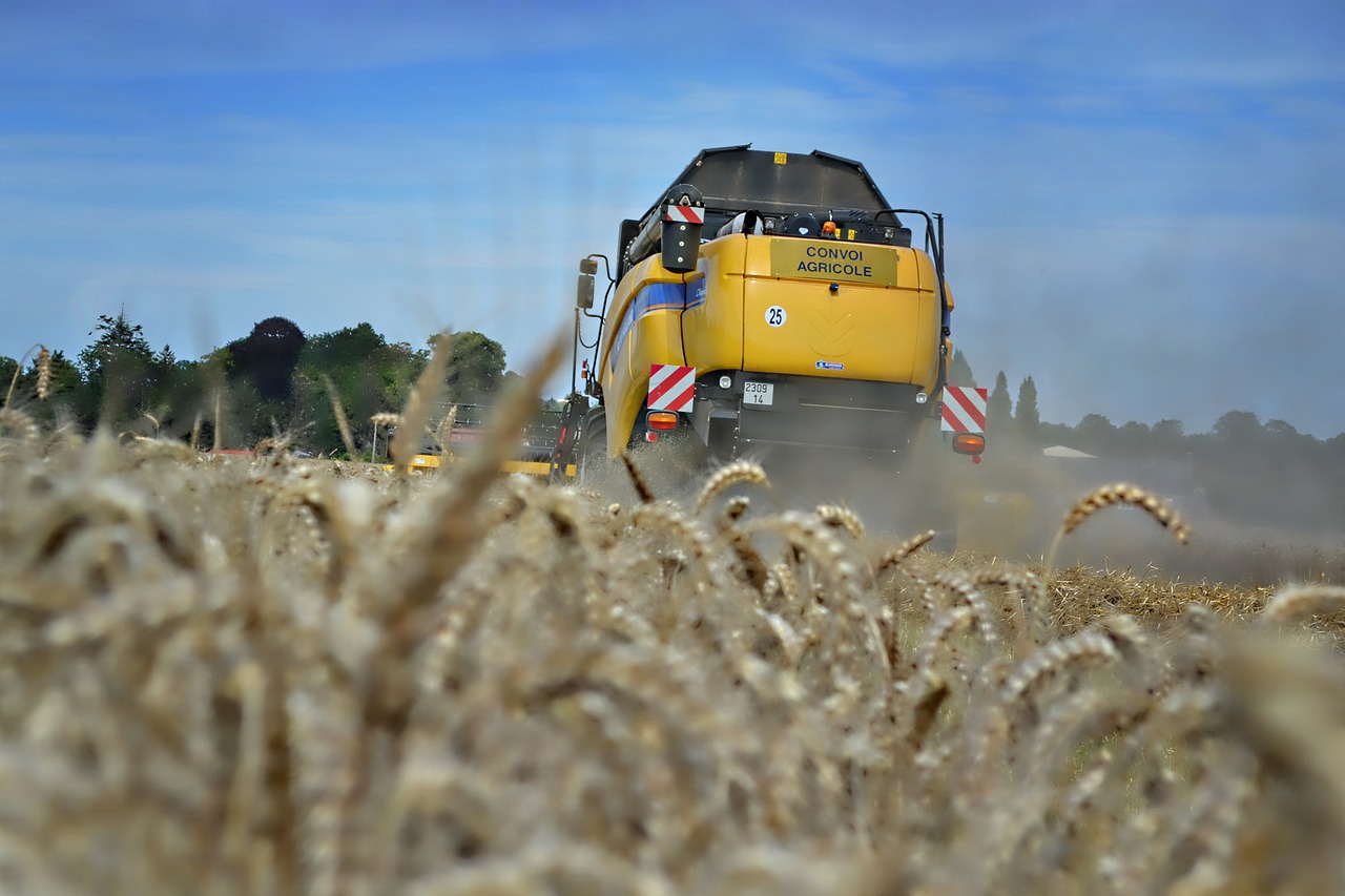 wheat harvest harvester free photo