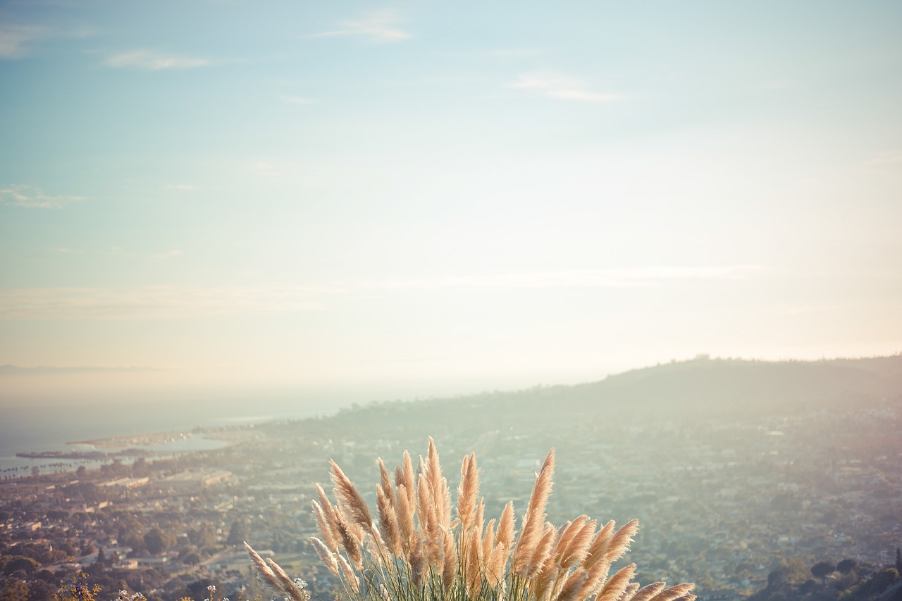 wheat landscape mountains free photo