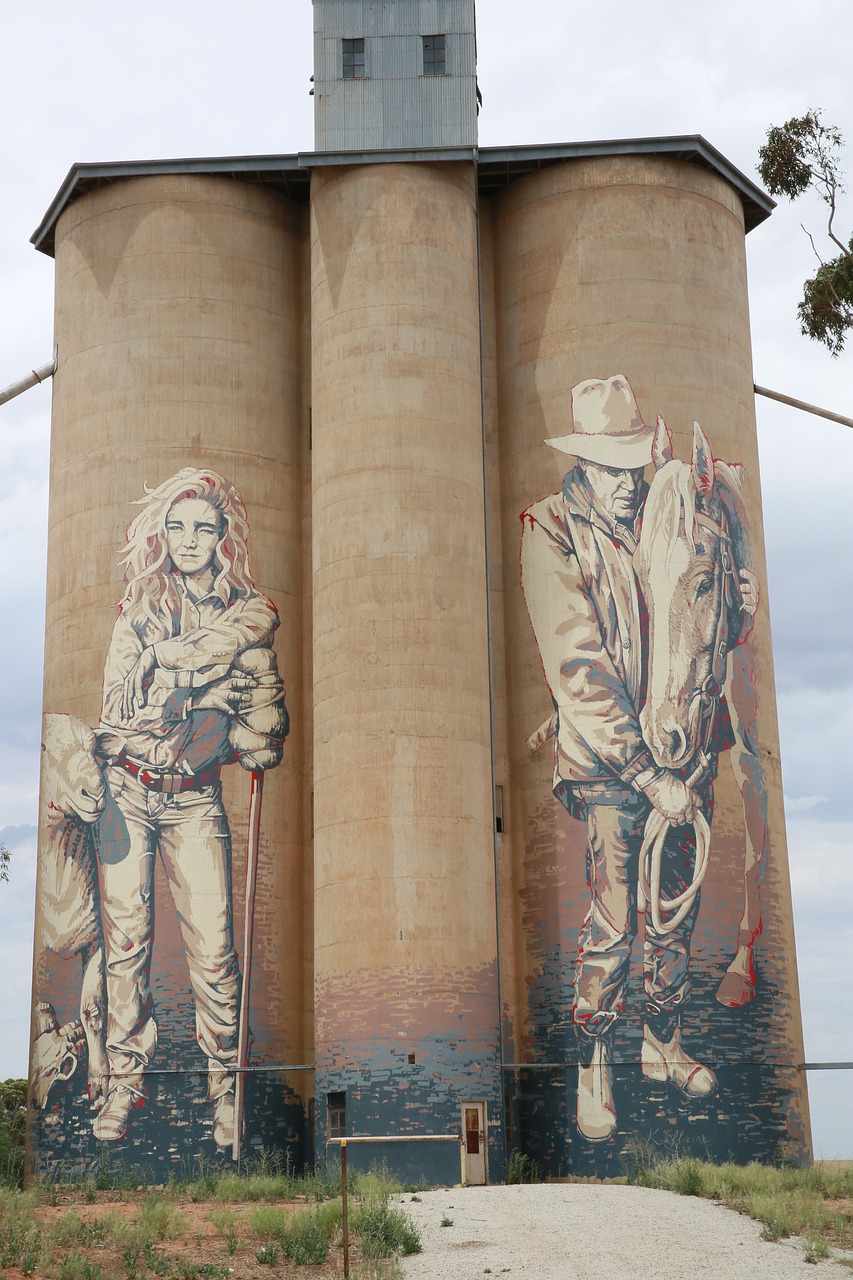 wheat silo  art  country victoria free photo