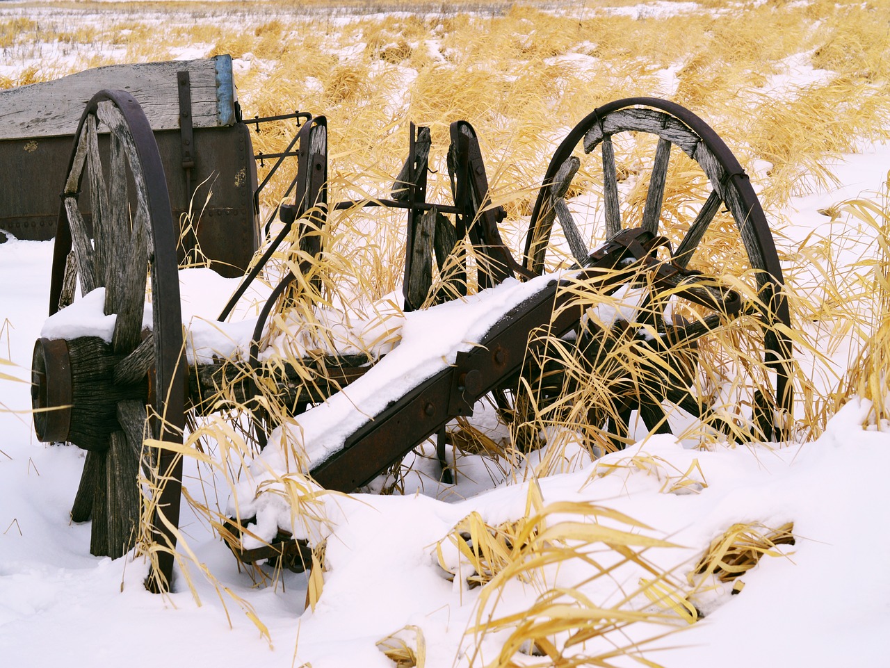 wheel old farm equipment free photo