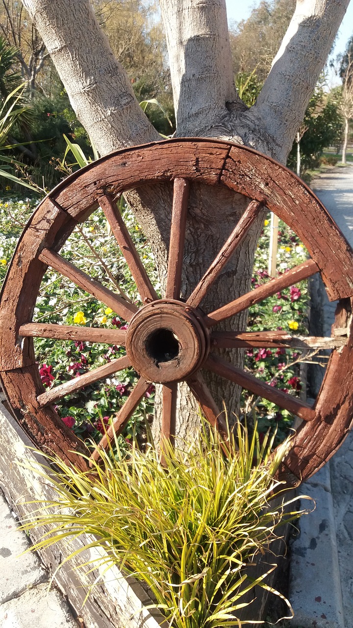 wheel decor landscape free photo