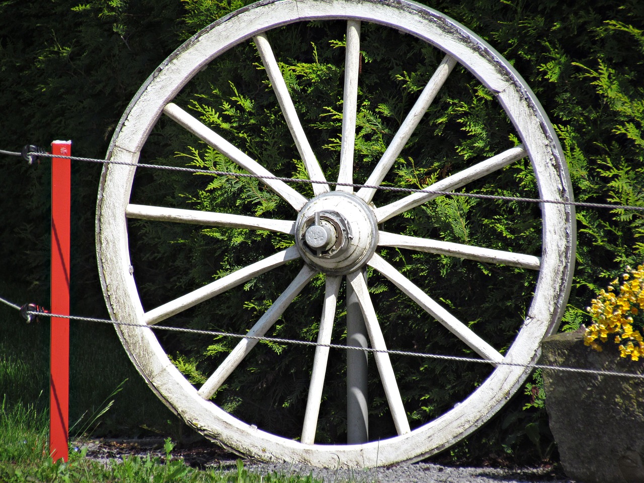 wheel car wooden free photo