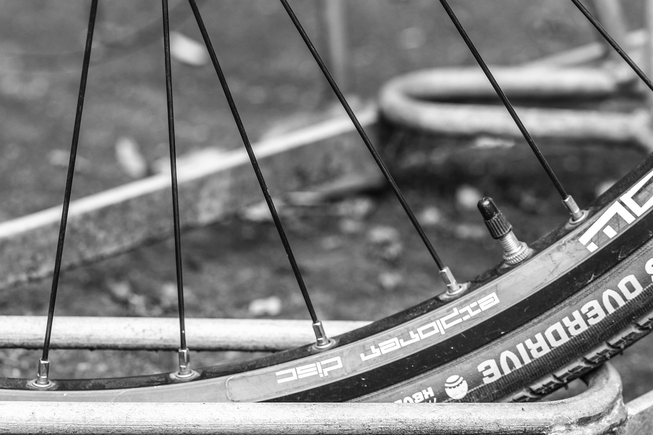 wheel bicycle cycle free photo