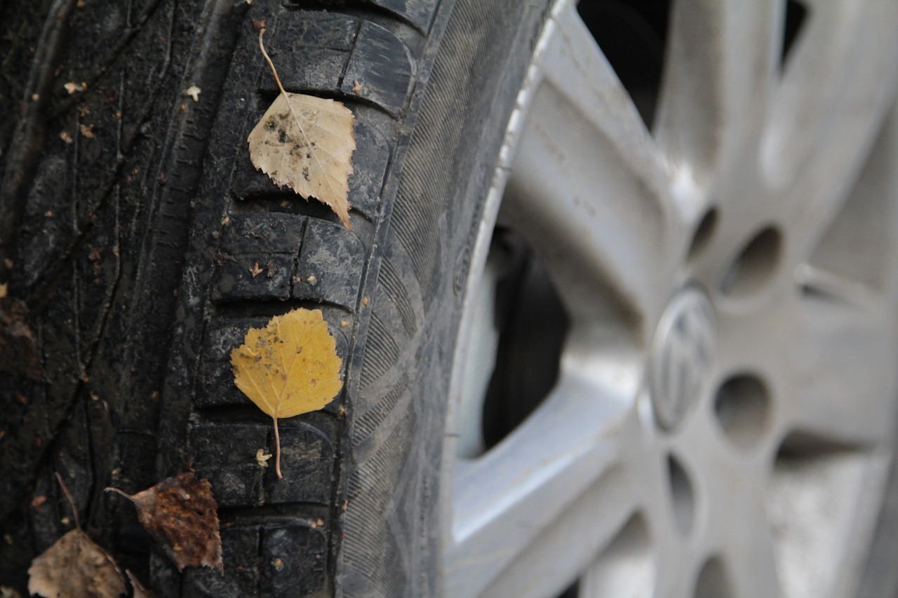 wheel car nature free photo