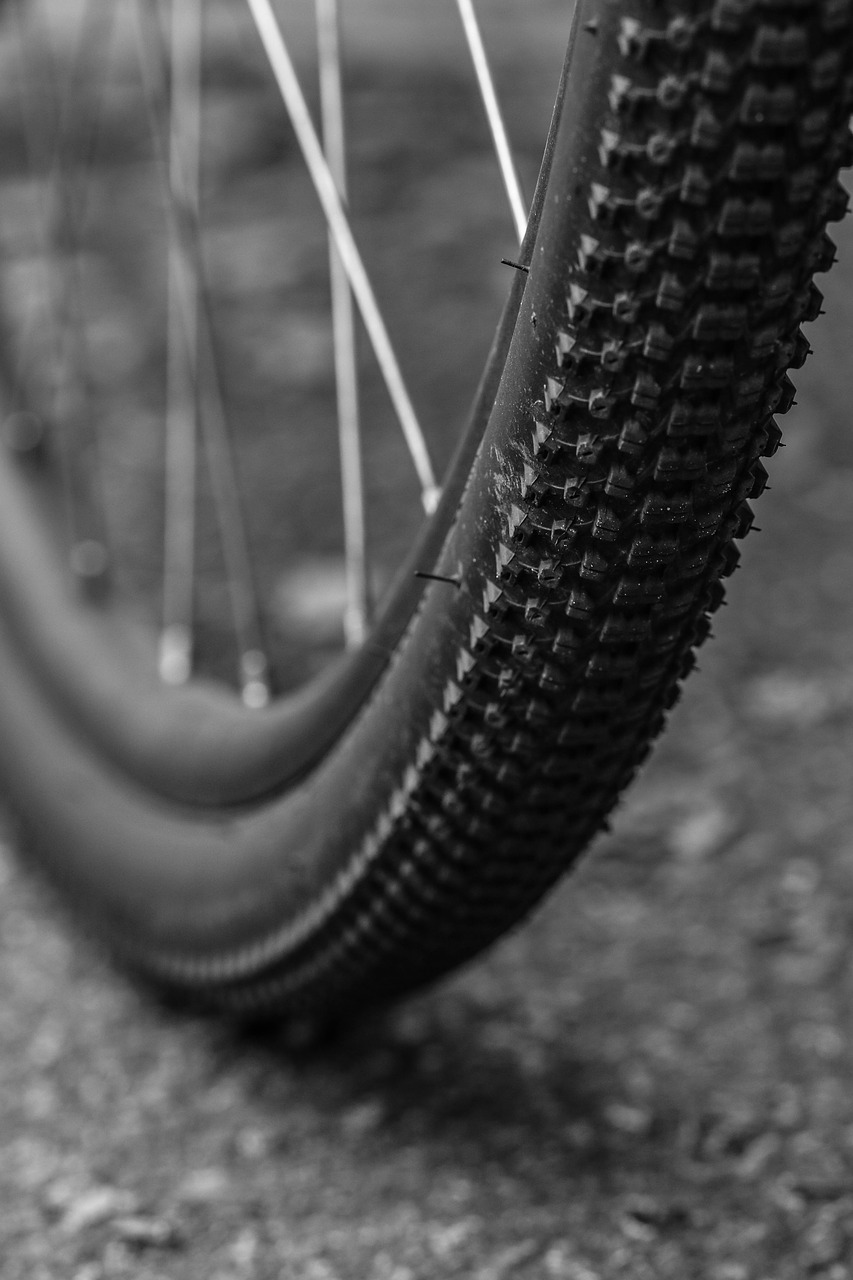 wheel bike bicycle free photo