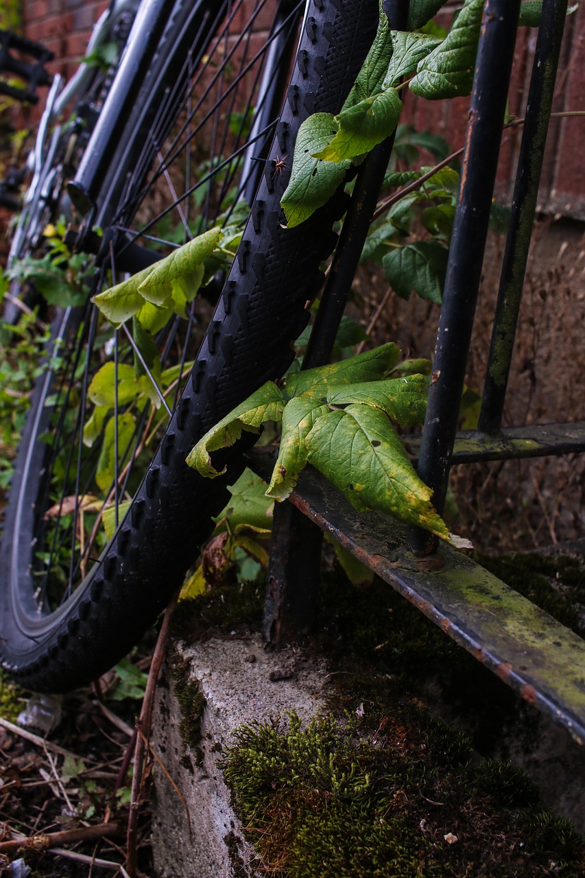 wheel bike bicycle free photo