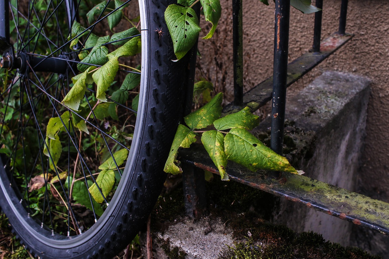 wheel bike bicycle free photo