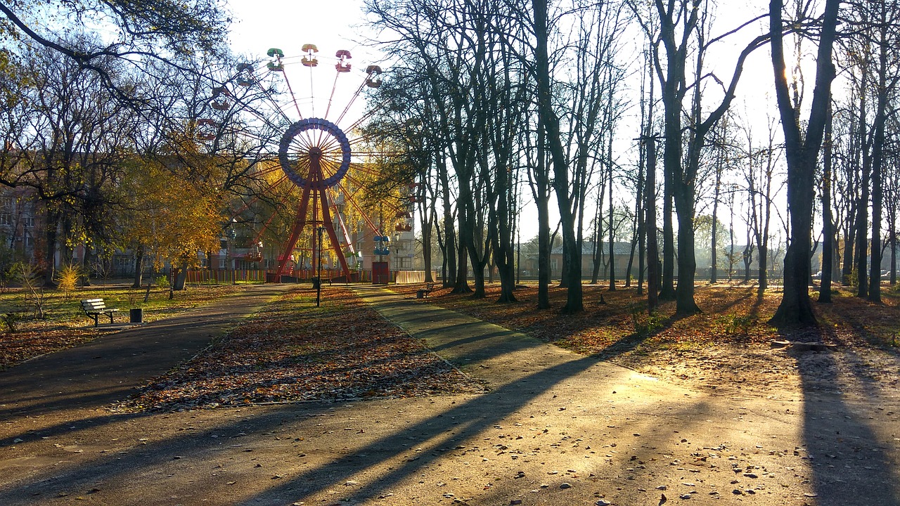 wheel amusement swing free photo