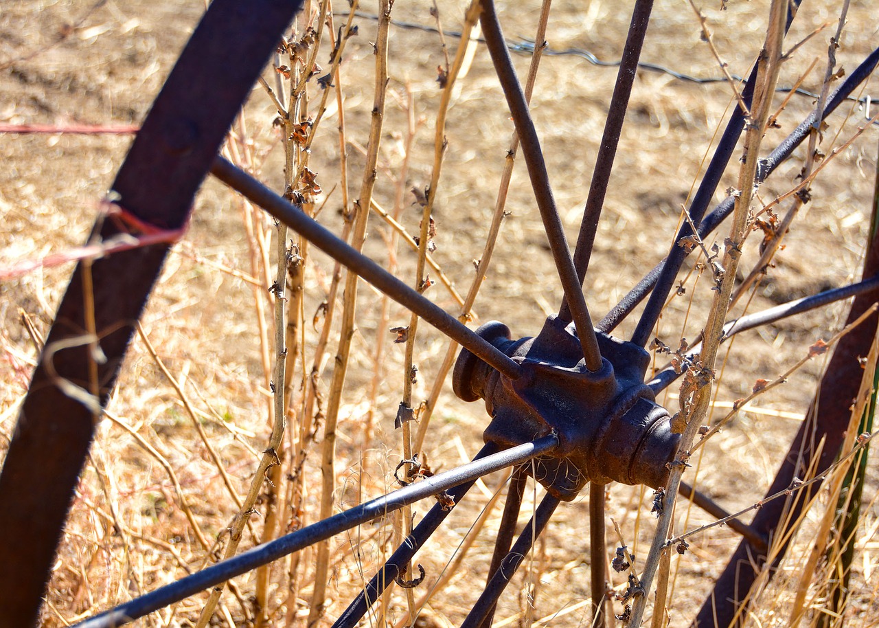 wheel rustic fall free photo