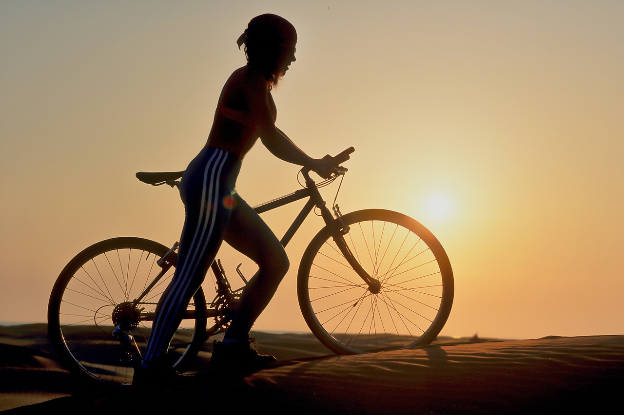 wheel bike cyclist free photo