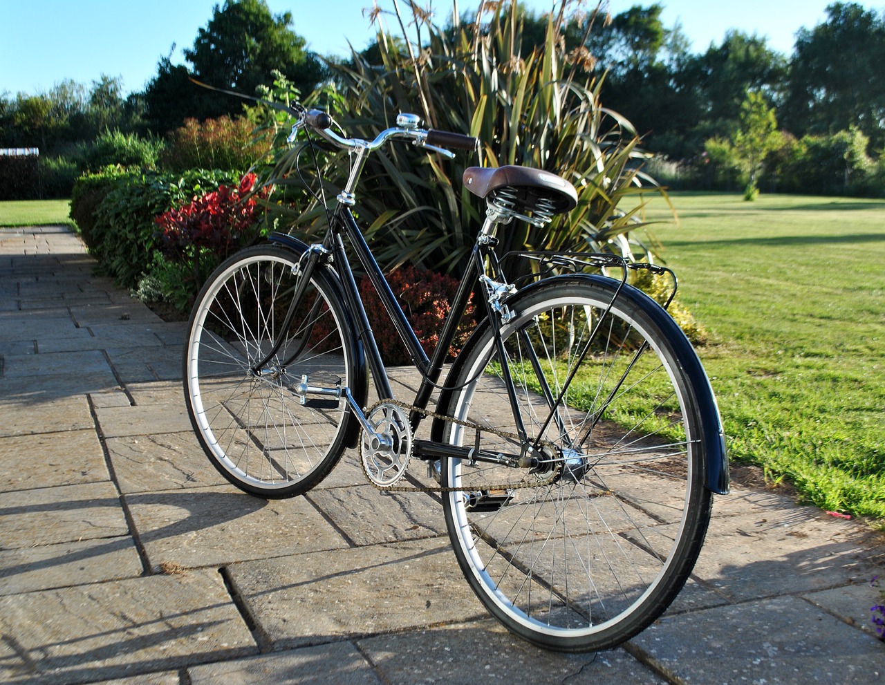 wheel bike summer free photo