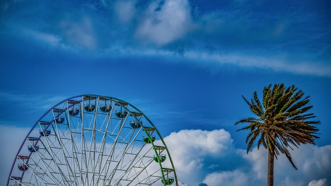 wheel palm tree luna park free photo