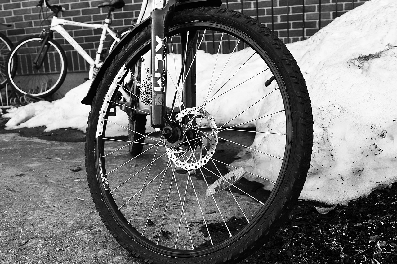 wheel  bike  cycle free photo