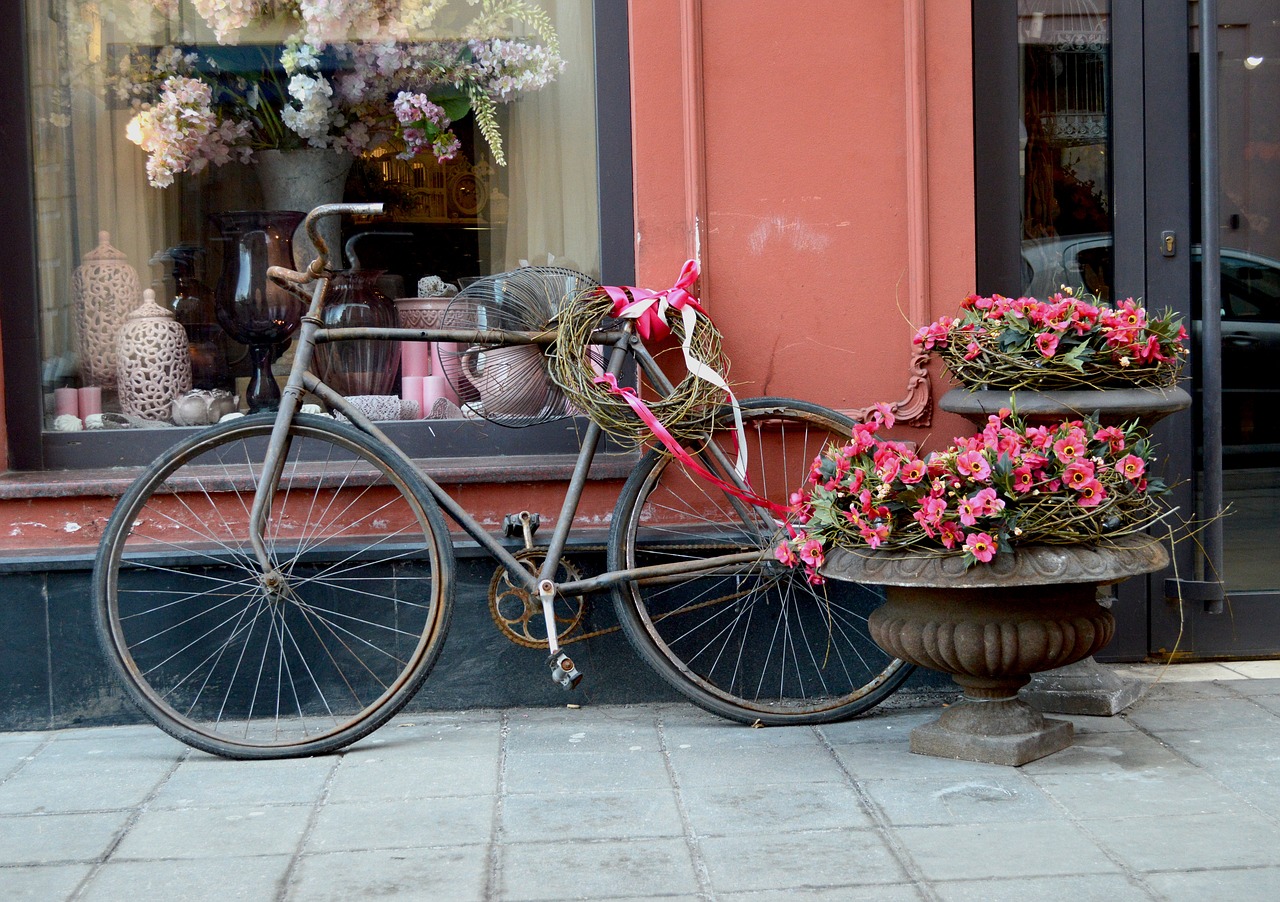 wheel  flower  seat free photo