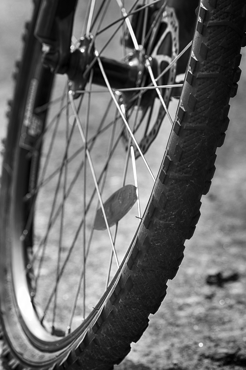 wheel  bike  spoke free photo