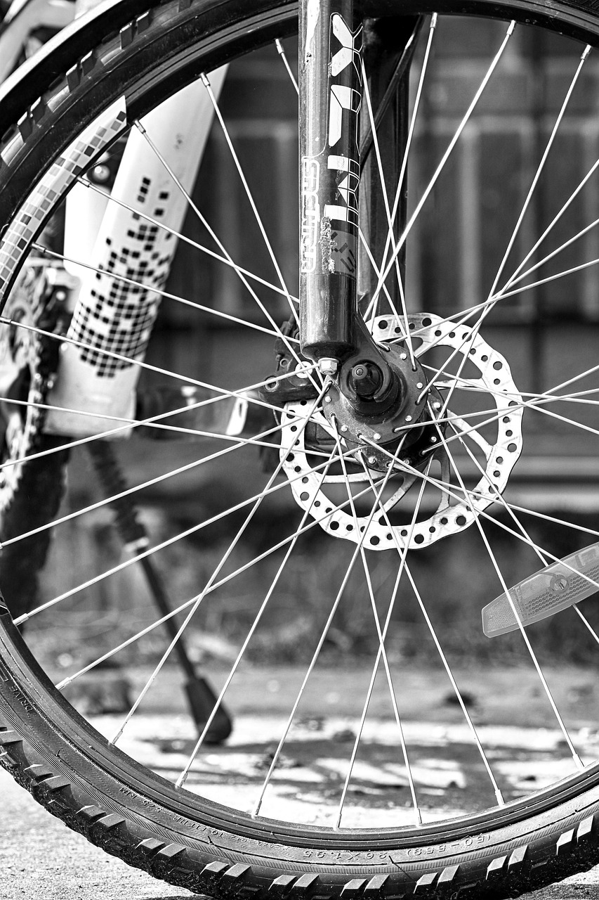 wheel  bike  cycle free photo