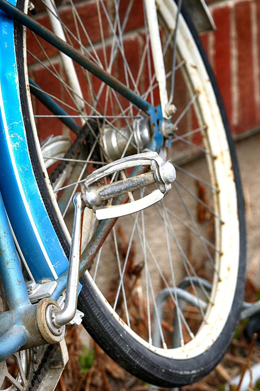 wheel  cycle  bike free photo