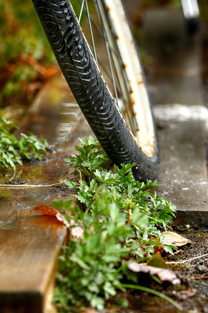 wheel  bike  outdoors free photo