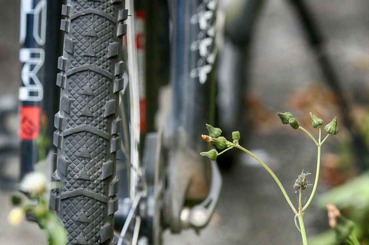 wheel  bike  bicycle free photo