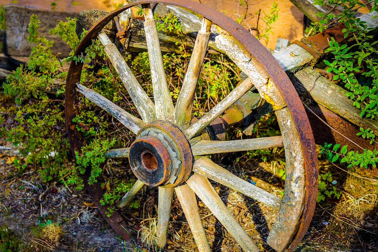 wheel  wagon wheel  spokes free photo