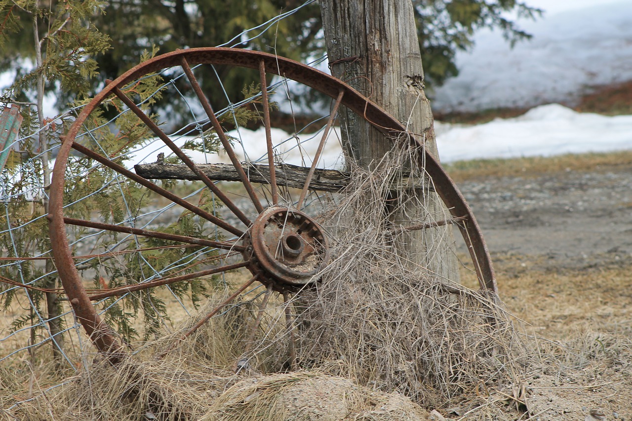 wheel  field  old free photo