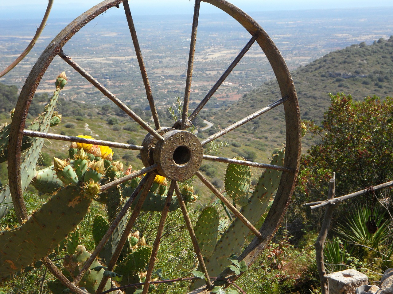 wheel spokes wagon wheel free photo
