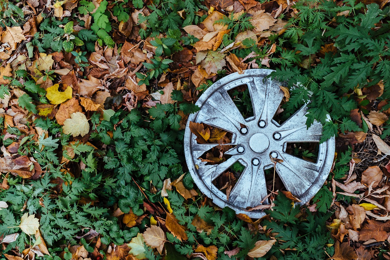 wheel  old  wood free photo