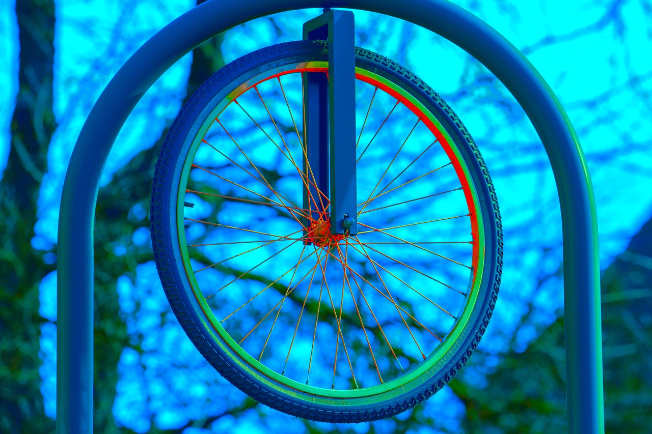 wheel  bicycle wheel  cycling free photo