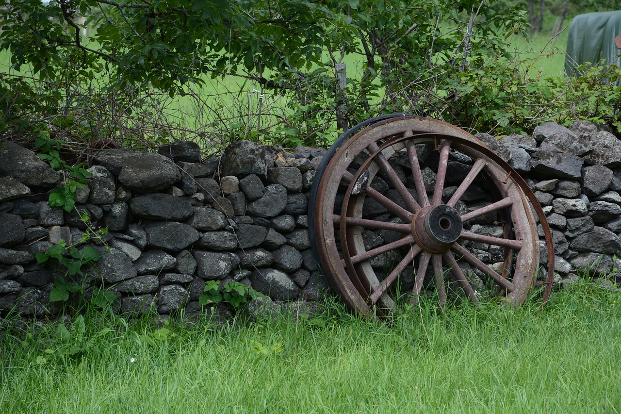 wheel charette field free photo