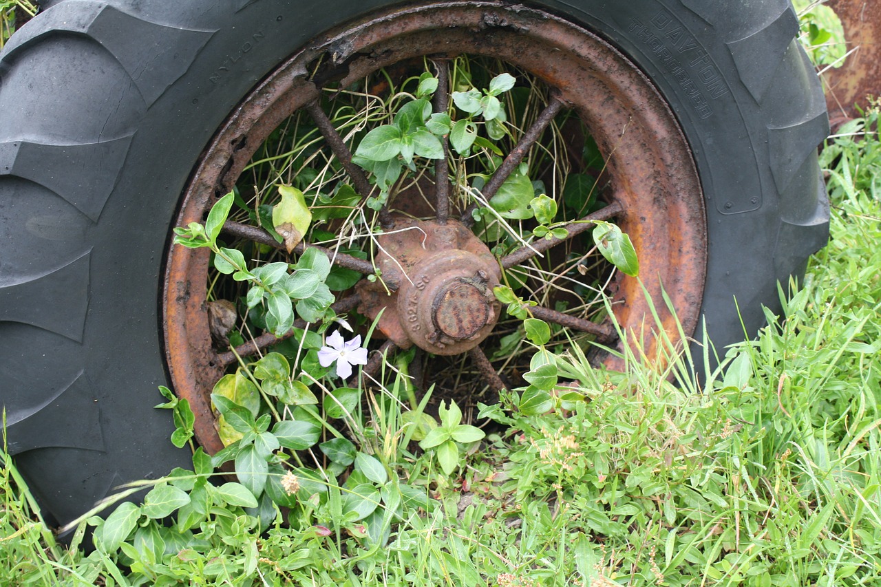 wheel weeds overgrown free photo