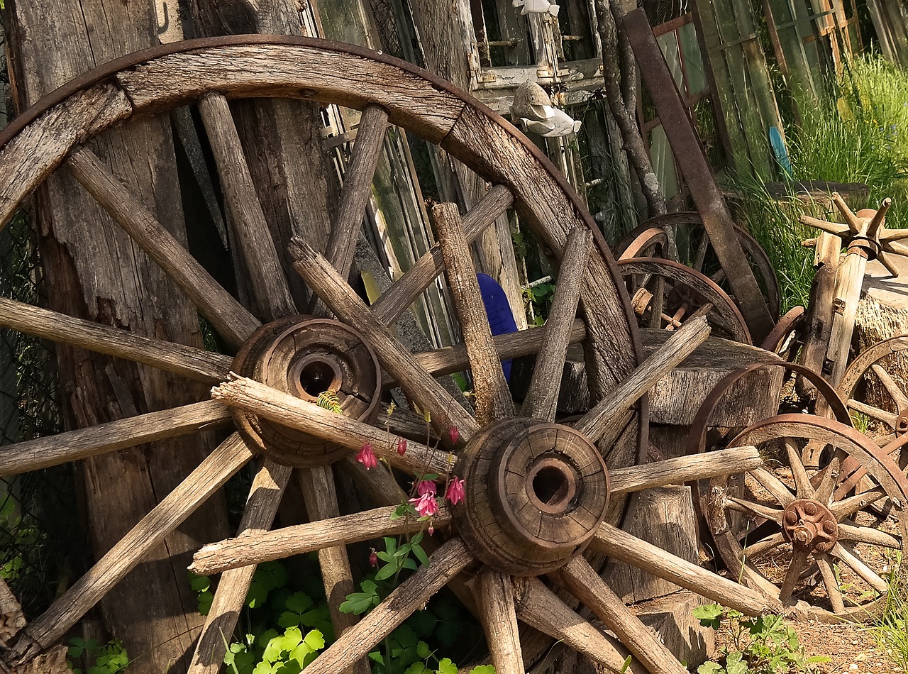 wheel wood wooden wheel free photo