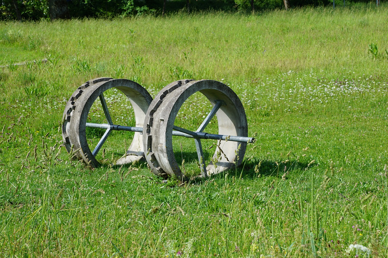 wheel invent meadow free photo