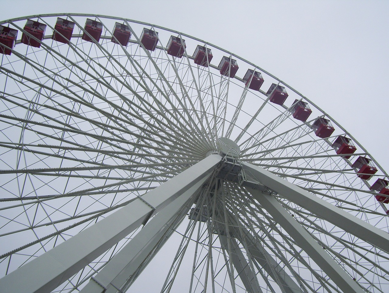 wheel amusement park ferris free photo