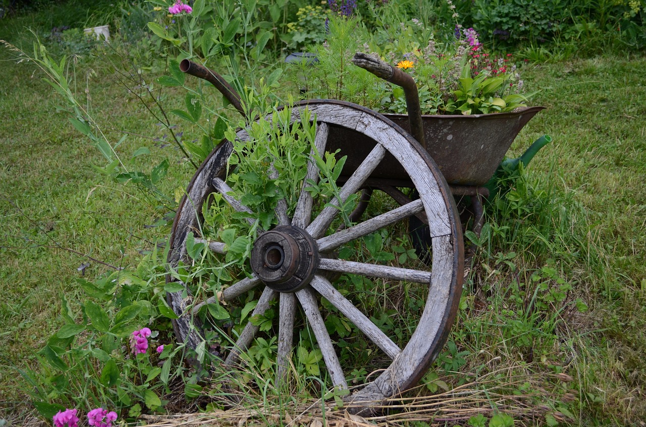 wheel wheelbarrow gardening free photo