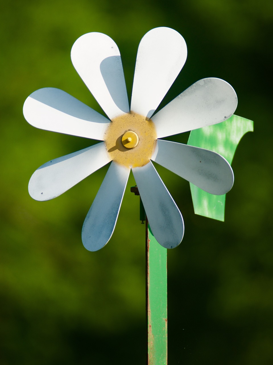 wheel pinwheel wind wise free photo