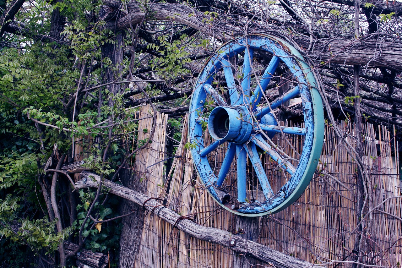 wheel wood nature free photo