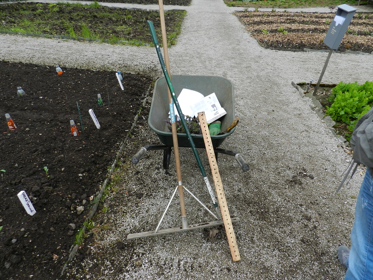 wheel barrow rake garden tools free photo