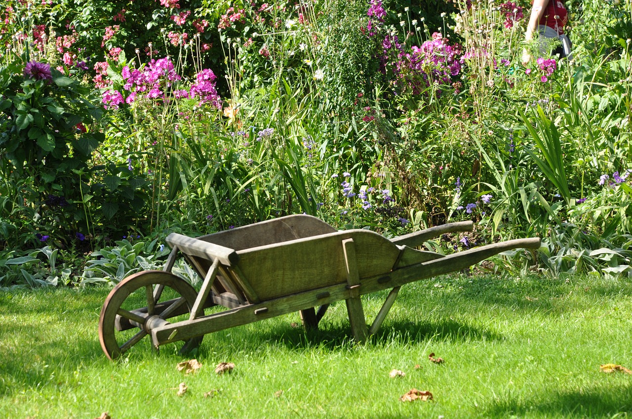 wheelbarrow garden vegetable garden free photo