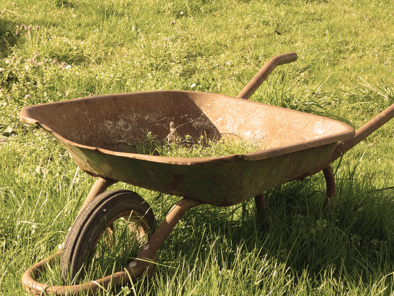 wheelbarrow grass abandonment free photo