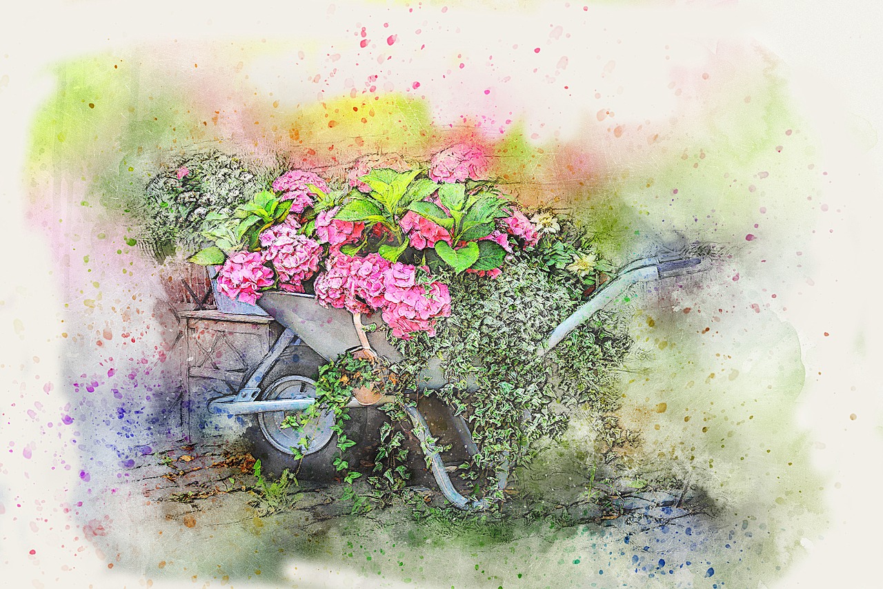 wheelbarrow  flowers  art free photo