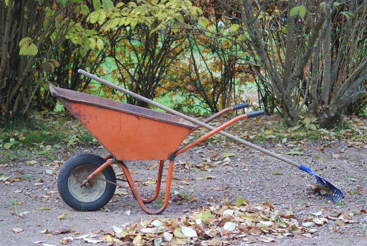 wheelbarrow autumn rake free photo