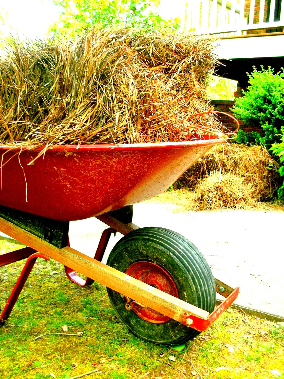 wheelbarrow outside outdoor free photo
