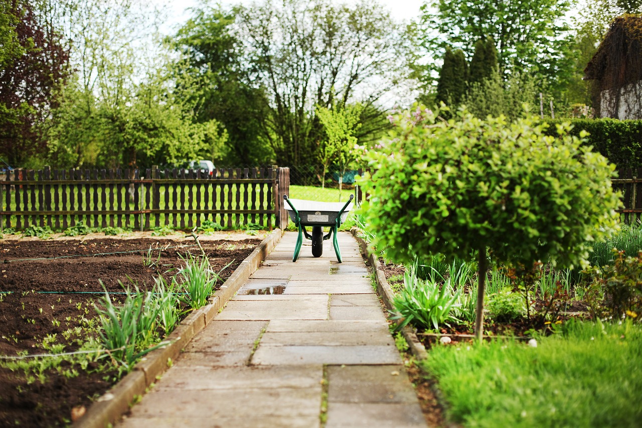 wheelbarrows garden karrette free photo