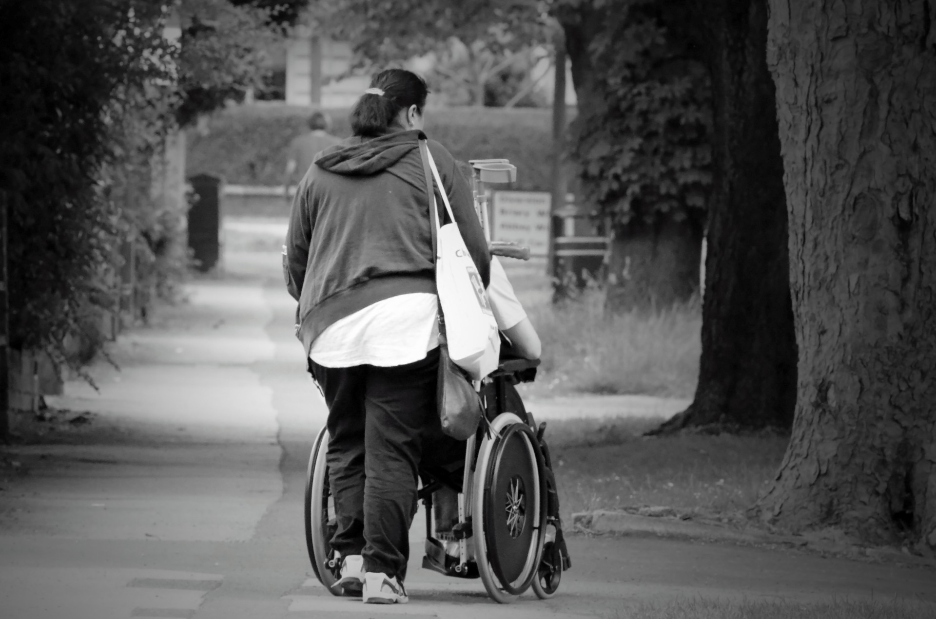 help wheelchair women free photo